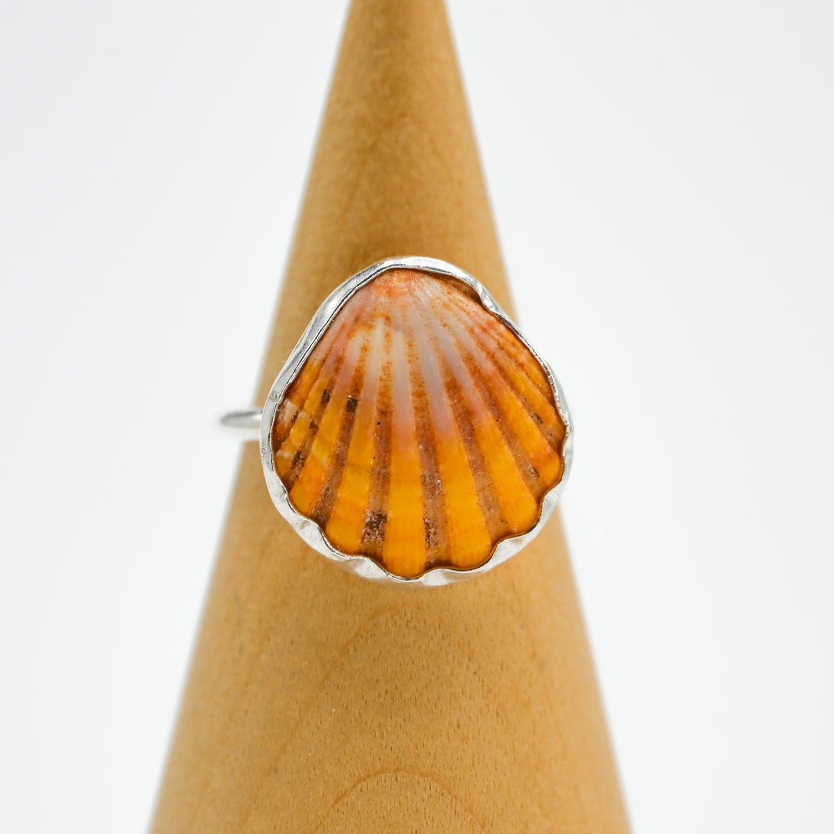 Hawaiian sunrise shell size 8