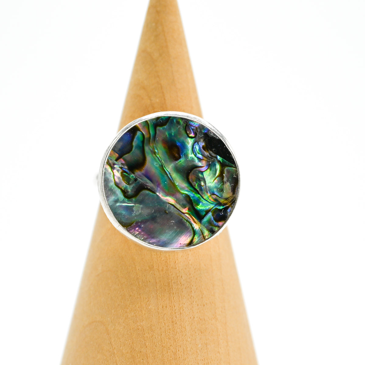 XL round abalone size 8.25