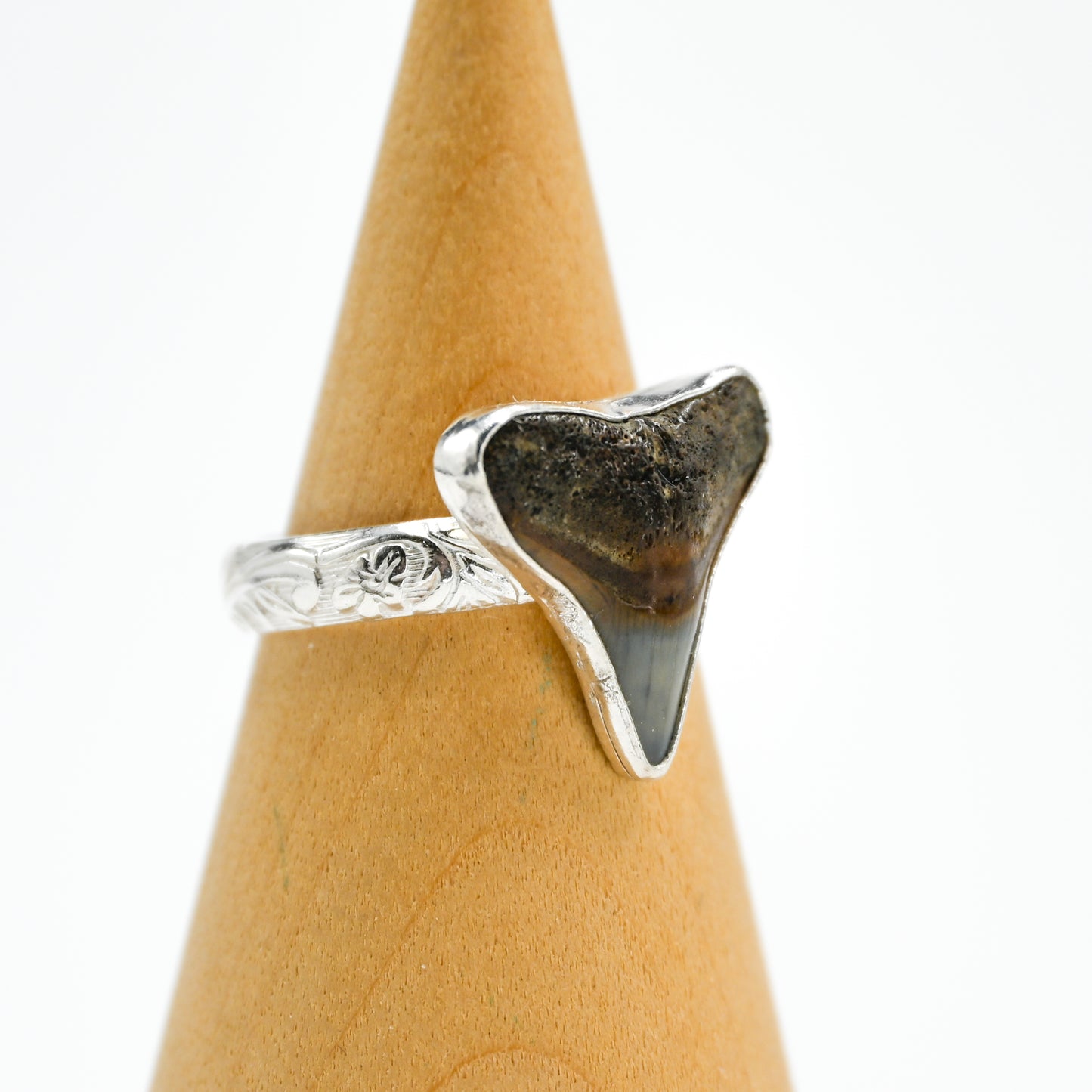 XL fossilized shark tooth 9