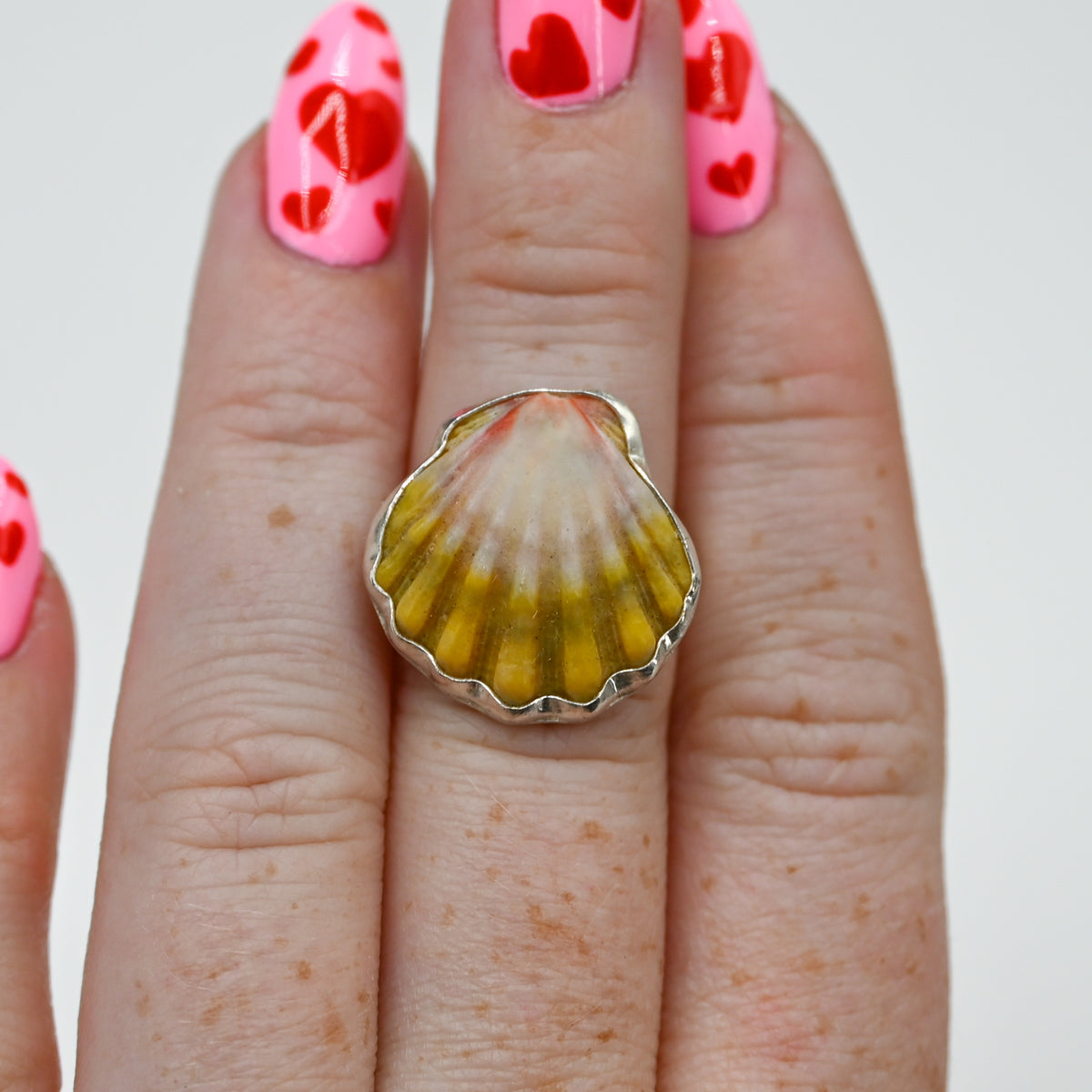 Hawaiian sunrise shell size 6.5