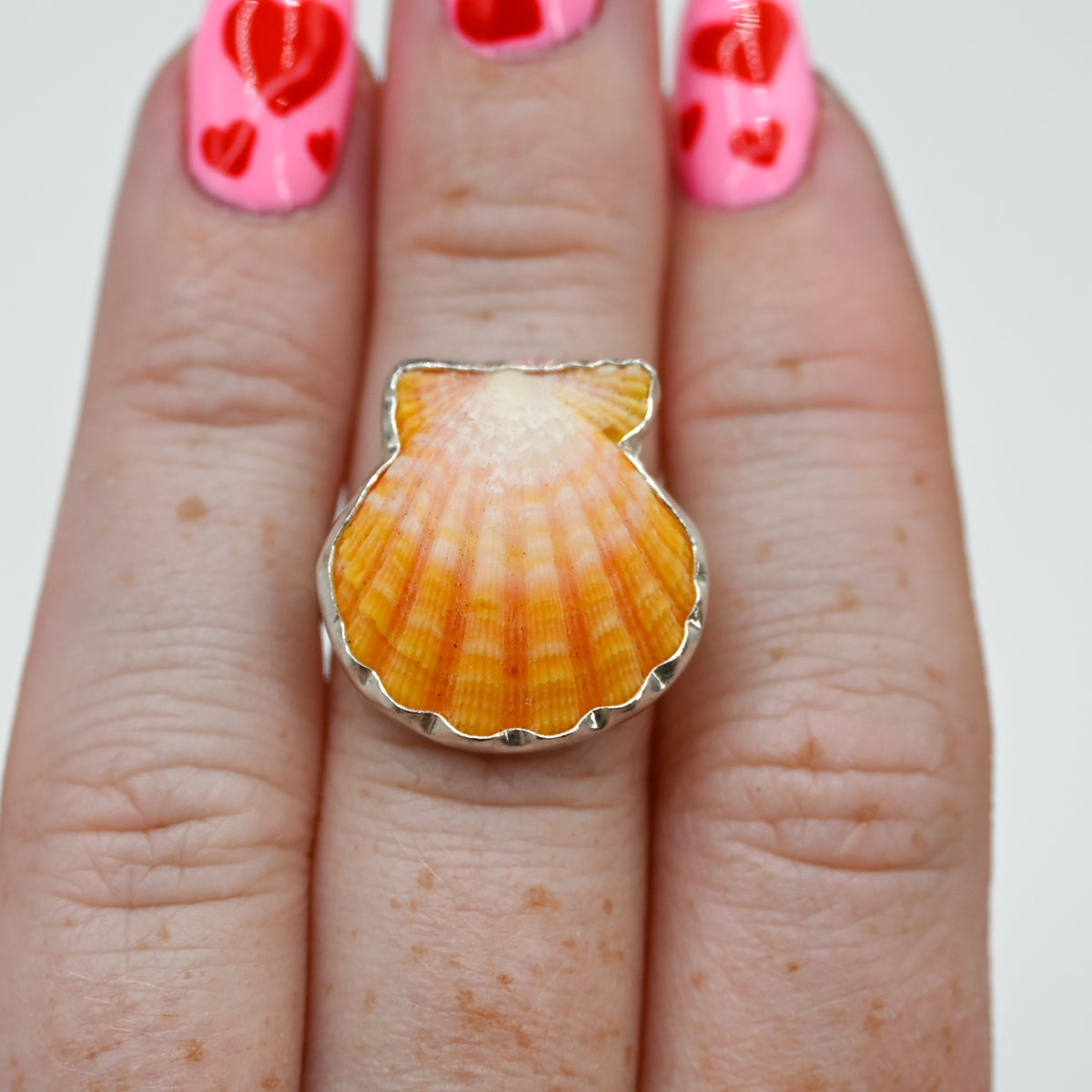 Hawaiian sunrise shell size 7
