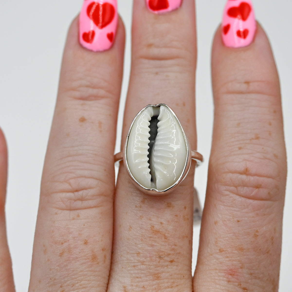 Cowrie shell size 7.25