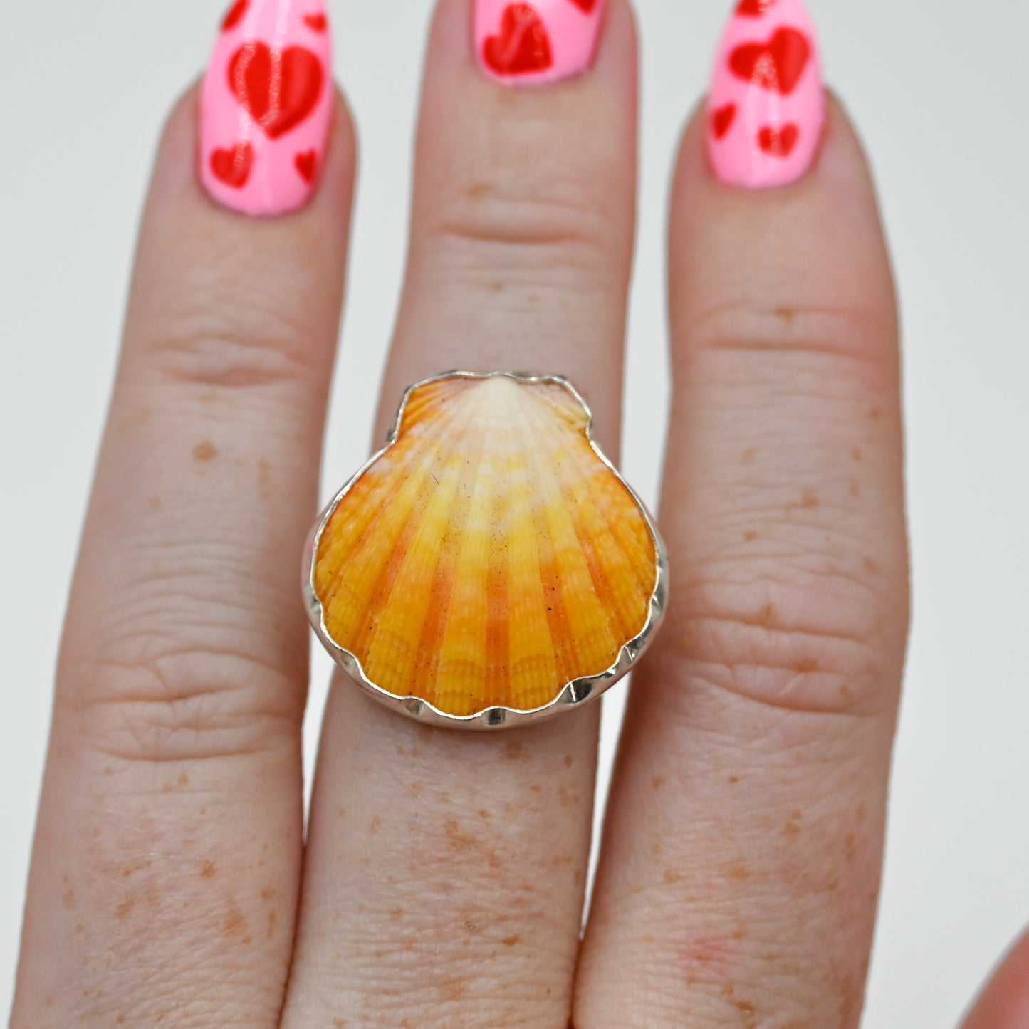 Hawaiian sunrise shell size 7.5