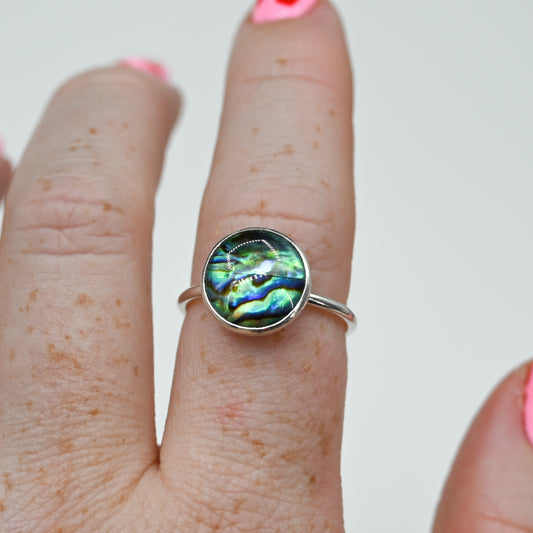 Round abalone size 8