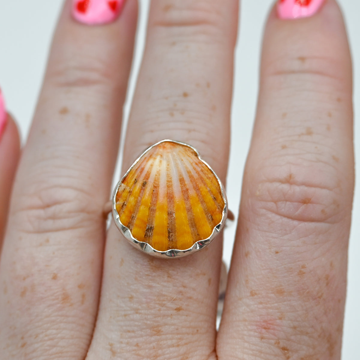 Hawaiian sunrise shell size 8