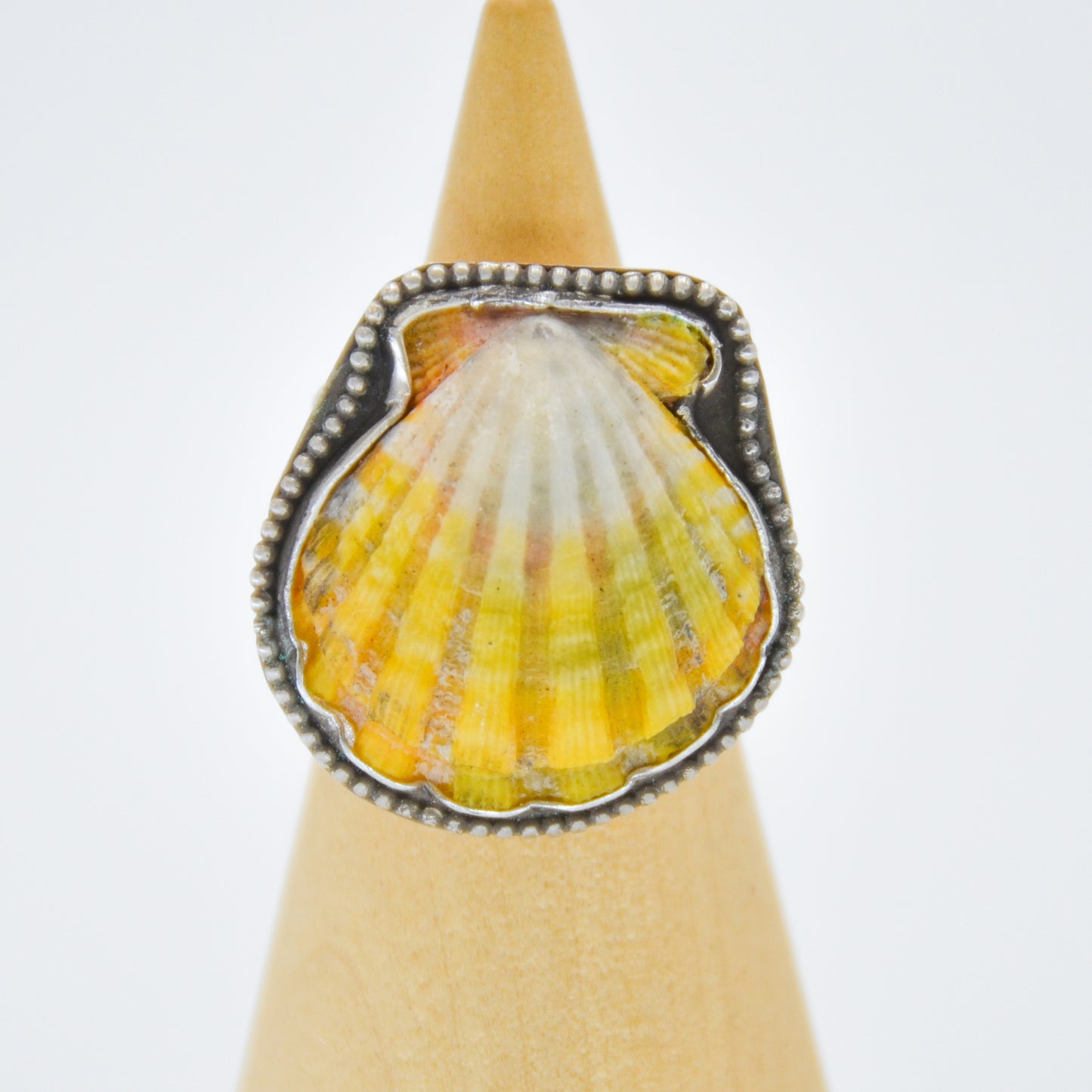 Large hawaiian sunrise shell bead around size 8.25