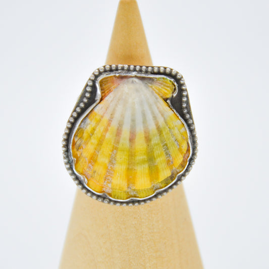 Large hawaiian sunrise shell bead around size 8.25